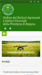 Mobile Screenshot of agronomiragusa.it
